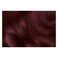 Garnier Color Naturals Hair Color 4.62 Sweet Cherry