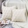 2 PCS Of Throw Pillow With Extra Comfort And Fluffy Material With Soft Handfeel