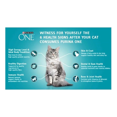Purina One Healthy Adult Dry Cat Food With Salmon And Tuna 380g