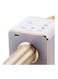 Generic Portable Wireless Karaoke Microphone Gold
