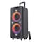 F&amp;D PA300 Bluetooth Party Speaker - 100 Watt - Black