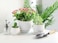 Vsell24 Ceramic Flower Plant Pots with Saucer Drainage Hole in Different Sizes White Stripe Texture for Garden, Fruits, Vegetable Plantation (medium)