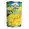 Hosen Cream Corn 425G