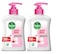 Dettol Skin Care Antibacterial Handwash 250 ml (Pack of 2)