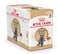 Royal Canin British Shorthair Adult Wet Cat Food - 12x85G