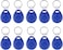 Rubik 10pcs Blank ID-125Khz Keyring Tags for RFID Copier/Reader/Writer/Duplicator (ID-125KHz 10 Keyring Tags)