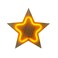 Wooden Festive Season Star Neon Light 20X20cm