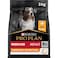Purina Pro Plan Everyday Nutrition Medium Adult, Dry Dog food with Chicken - 3KG