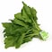 Bustan Spinach Fresh Bunch