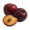 Hollywood Plum