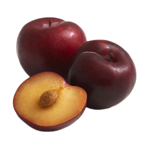 Hollywood Plum