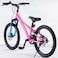 RoyalBaby Chipmunk Explorer Alloy Bicycle Pink 20inch