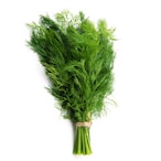 Buy Fresh Dill Local in Saudi Arabia