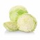 White Cabbage Flat