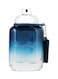 Coach Blue Eau De Toilette 100ml