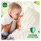 Dettol Orginial Anti-Bacterial Soap Bar - 165 gram - 4 Pieces