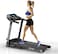 Sky Land - Treadmill-EM-1278
