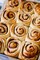 Raisin Roll - Pack Of 2