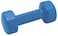 Generic Blue Exercise Dumbbells (2Kg X 2)