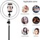 Generic 10" Selfie Ring Light With 210Cm Long Tripod Stand &amp; Cell Phone Holder - For iPhone Android, Live Stream/Makeup,TikTok,Instagram, Youtube Video Photography (210cm)
