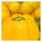 Capsicum Yellow