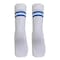 SCHOOL SOCKS WHITE/BLUE STRIPE L