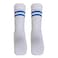 SCHOOL SOCKS WHITE/BLUE STRIPE L