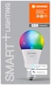 LEDVANCE Smart LEDLamp with WiFi Technology, Base: E27, Di mmable, Tunable White (2700-6500K), RGB Colors Changeable, Replaces Incandescent Lamps with 60 W, SMART+ WiFi Classic Multicolour, 1-Pack