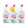 Carrefour Pine Toilet Cleaner 750ml Pack of 3