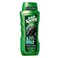 IRISH SPRING CHARCOAL BODYWASH532ML