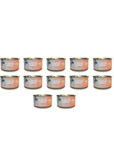 Schesir Silver Senior Cat Wholefood - Chicken 70g (Min Order- 12 Cans)