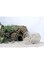 Light beige cream Coloured sand for crafts,terrarium projects, Landscaping, Outdoor D&eacute;cor-20kg