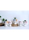 Generic 4 Pcs Cute Succulent Mini Cat Planter, Succulent Pots With Drainage Hole Flower Plant Pot Cartoon Ceramic Tiny Pot For Indoor Mini Flower Planters Cactus Container Set Of 4