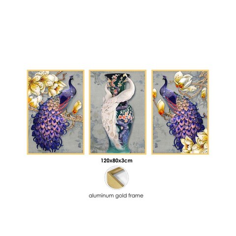 Aiwanto 3pcs Beautiful Peacock Wall Picture Wall Photo Wall Art Frame Wall Poster for Decoration Home Office