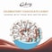 Galaxy Minis Coconut and Milk Chocolate Bar, 162.5g