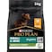 Purina Pro Plan Healthy Start Small and Mini Puppy, Dry Dog food with Chicken - 3Kg