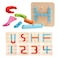 HOONEW Wooden Letter Number Sorter Puzzle Construction Activity Set Educational Preschool Geometric Board Toys Shape Color Recognition Pegboard Learning STEM Toy Gift for Toddler Boys Girls