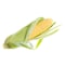 Green Maize On Cob