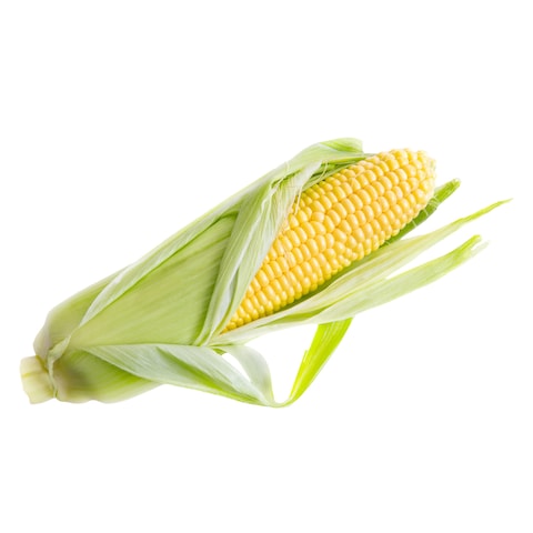 Green Maize On Cob