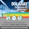 Solaray, Vitamin C Two-Stage Timed-Release 1000 Mg. 100 Vegetarian Capsules