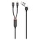 Cellairis PD 2-in-1 to Lightning Data Sync Charging Cable Black 1.2m 60W