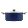 RAJ NONSTICK INDUCTION COOKING POT WITH GLASS LID 22 CM