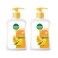Dettol Handwash Re Energize 500mlx2 Pieces
