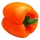 Capsicum Orange Bag 1Kg