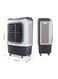 Wtrtr 50 Liters Evaporative Air Cooler For Home