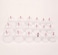 Islamic hijama Cupping Therapy Device, 18 pcs