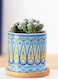 Generic 4 Pcs Succulent Plant Pots Small Modern Ceramic Indoor Planter With Bamboo Tray For Cactus Herbs Home Design 2 (Plants Not Included)