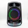 DLC-32297  20 Watt Portable Speaker with Microphone and Remote Control - Black