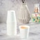 Lavish 2.5 Oz White Disposable Khawa Cups Picnic, Travel, And Events [1000 Units]