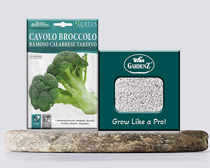 Buy Broccoli Seeds Model COD.BGOCVB003 Brand HORTUS Origin Italy ...